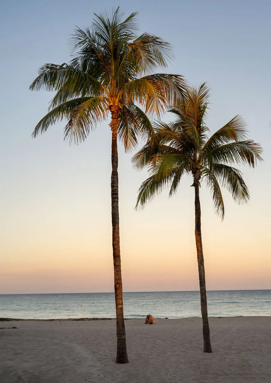 Hollywood Beach FL at Sunset